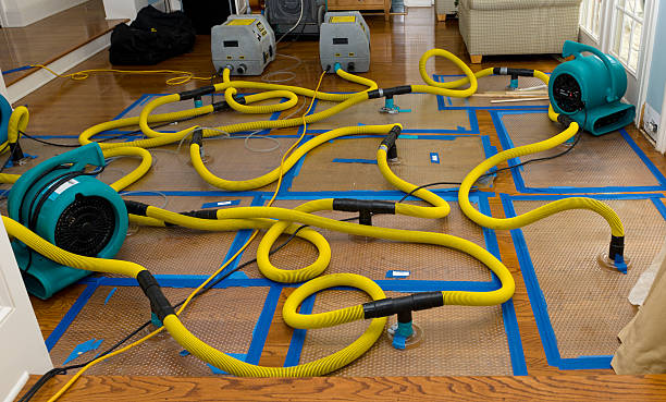 Professional Basement Flood Cleanup technician working in Walnut, CA